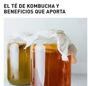 Chirripo Valley kombucha health benefits