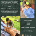 Deep tissue massage in Chirripo, Costa Rica