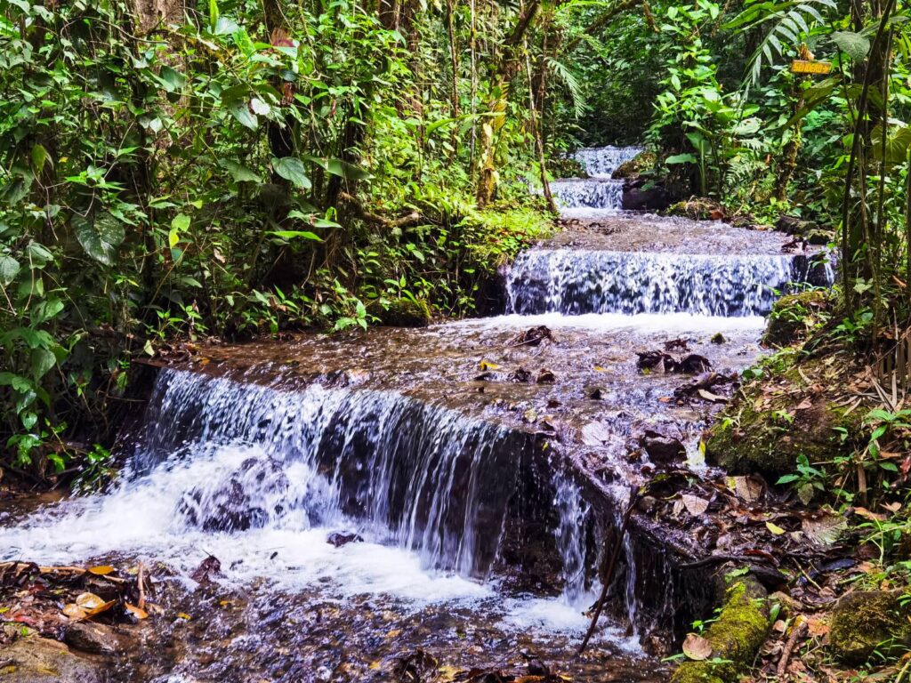 Sendero Los Gigantes, San José de Rivas